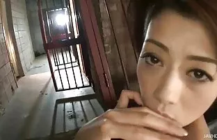 XXX آبنوس کمرنگ لاغر با بی حوصلگی در الاغ خوشمزه سكس رقص نار می خورد